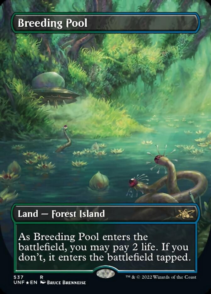 Breeding Pool (Borderless) (Galaxy Foil) [Unfinity] | Pegasus Games WI