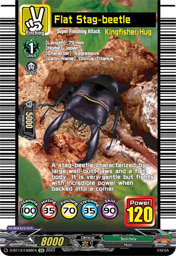Flat Stag-beetle (D-BT13/EX08EN) [Flight of Chakrabarthi] | Pegasus Games WI