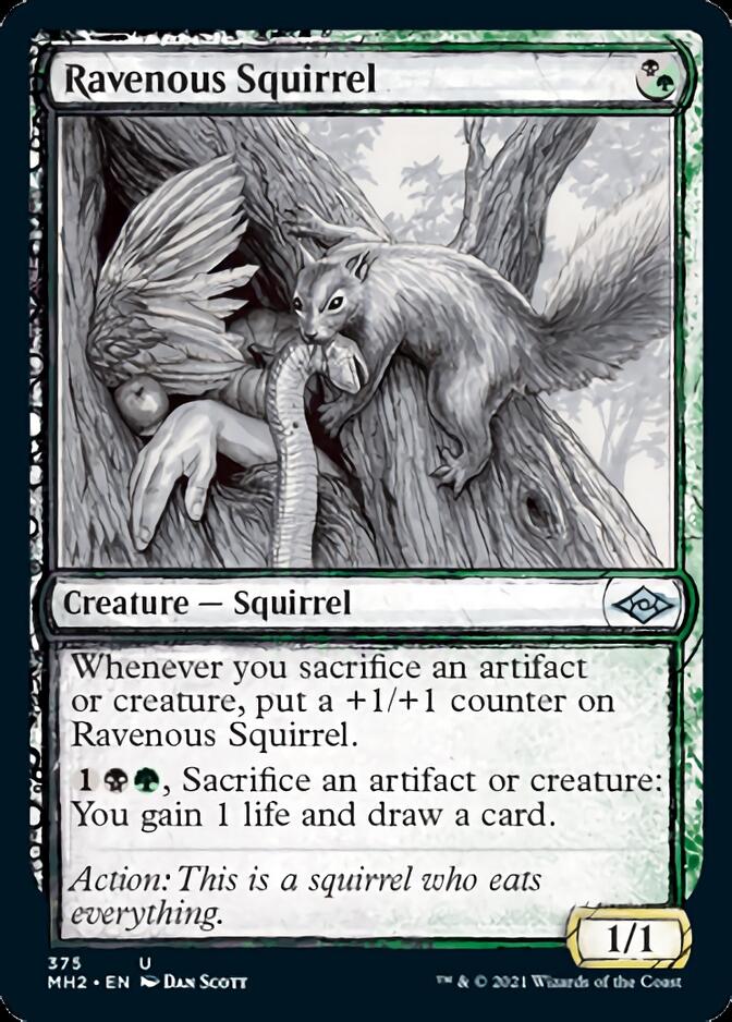 Ravenous Squirrel (Sketch) [Modern Horizons 2] | Pegasus Games WI