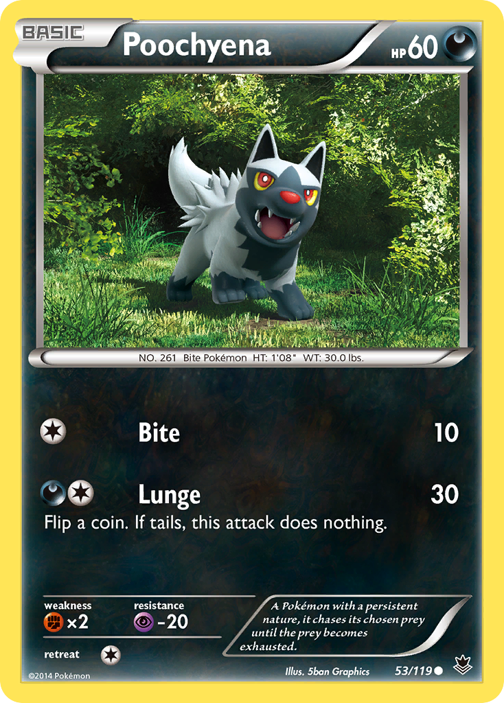 Poochyena (53/119) [XY: Phantom Forces] | Pegasus Games WI