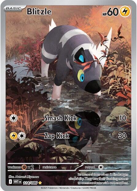 Blitzle (114/086) [Scarlet & Violet: White Flare] | Pegasus Games WI
