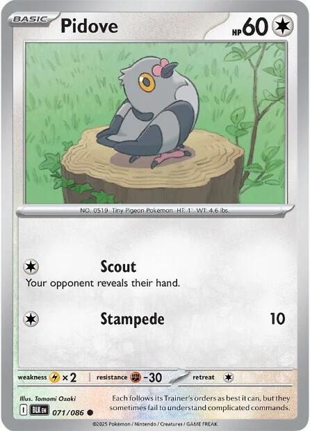 Pidove (071/086) [Scarlet & Violet: Black Bolt] | Pegasus Games WI