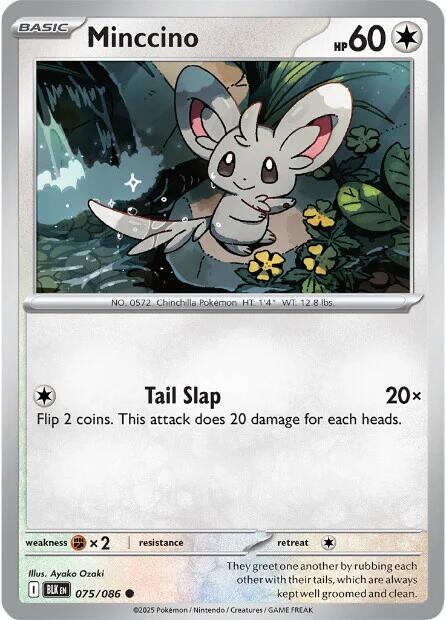 Minccino (075/086) [Scarlet & Violet: Black Bolt] | Pegasus Games WI