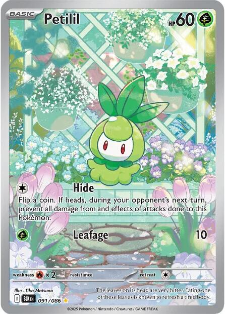 Petilil (091/086) [Scarlet & Violet: Black Bolt] | Pegasus Games WI