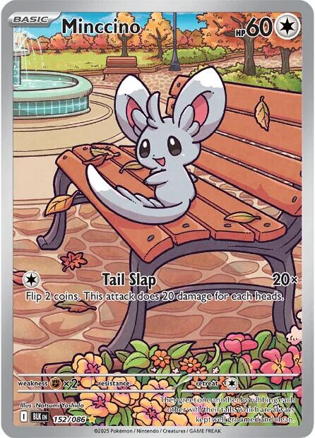 Minccino (152/086) [Scarlet & Violet: Black Bolt] | Pegasus Games WI