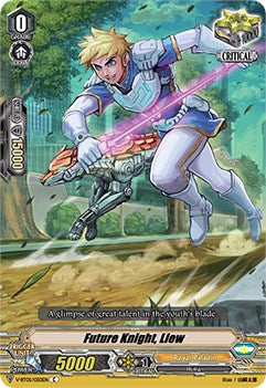 Future Knight, Llew (V-BT05/050EN) [Aerial Steed Liberation] | Pegasus Games WI