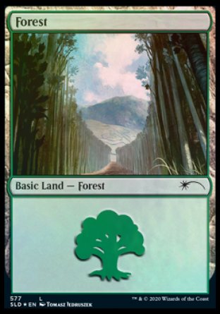 Forest (Walls) (577) [Secret Lair Drop Promos] | Pegasus Games WI