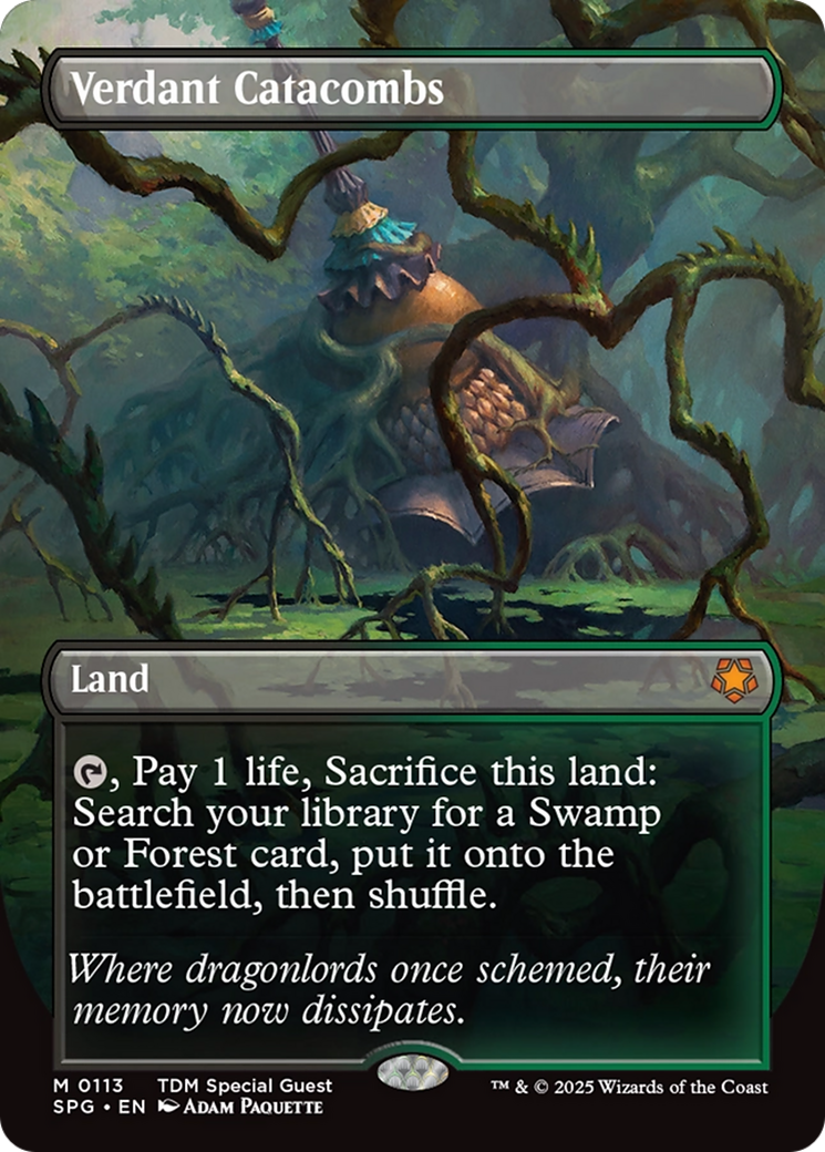 Verdant Catacombs (Borderless) [Tarkir: Dragonstorm Special Guests] | Pegasus Games WI