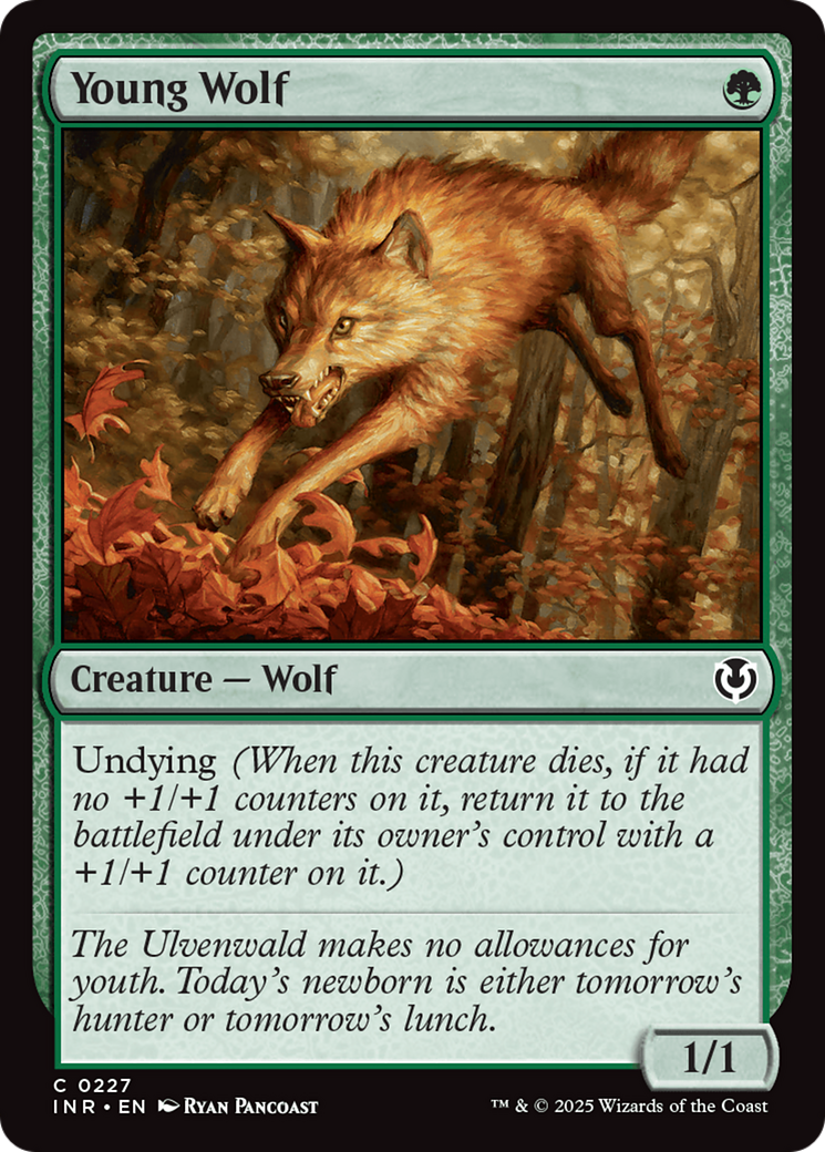 Young Wolf [Innistrad Remastered] | Pegasus Games WI