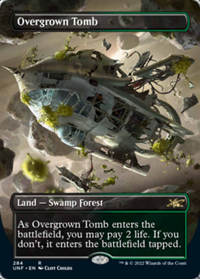 Overgrown Tomb (Borderless) [Unfinity] | Pegasus Games WI