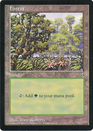 Forest (Oversized) [Oversize Cards] | Pegasus Games WI
