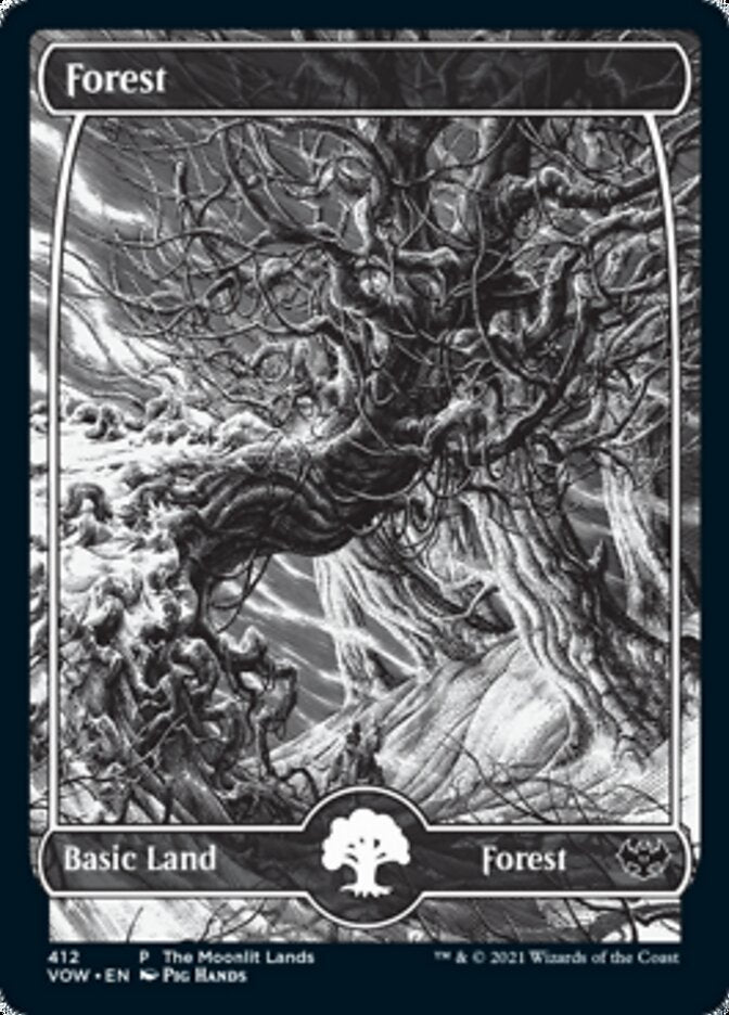 Forest (The Moonlit Lands) (Foil Etched) [Innistrad: Crimson Vow Promos] | Pegasus Games WI