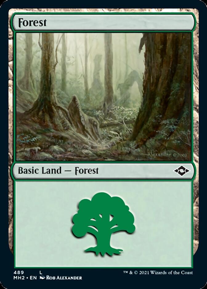 Forest (489) (Foil Etched) [Modern Horizons 2] | Pegasus Games WI