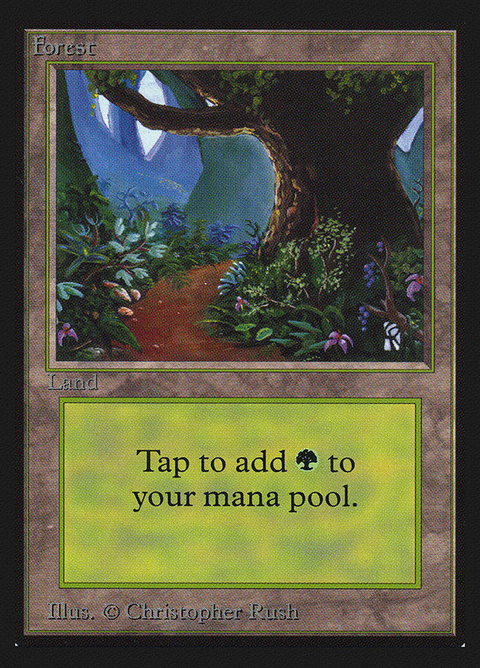 Forest (Flower Path) [International Collectors' Edition] | Pegasus Games WI