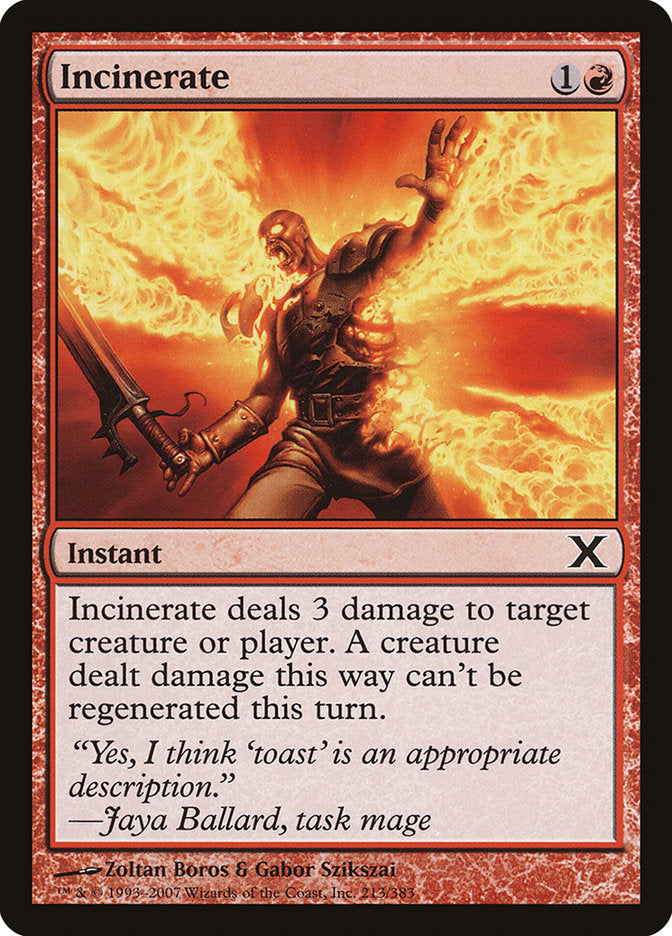 Incinerate [Tenth Edition] | Pegasus Games WI