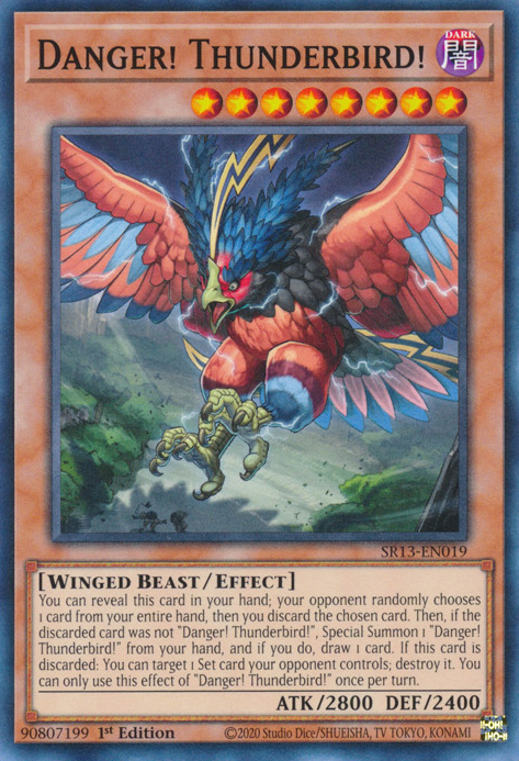Danger! Thunderbird! [SR13-EN019] Common | Pegasus Games WI