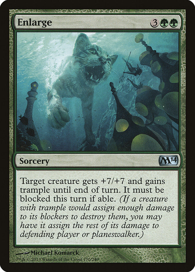 Enlarge [Magic 2014] | Pegasus Games WI