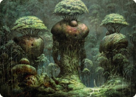 Forest Art Card [Dominaria United Art Series] | Pegasus Games WI
