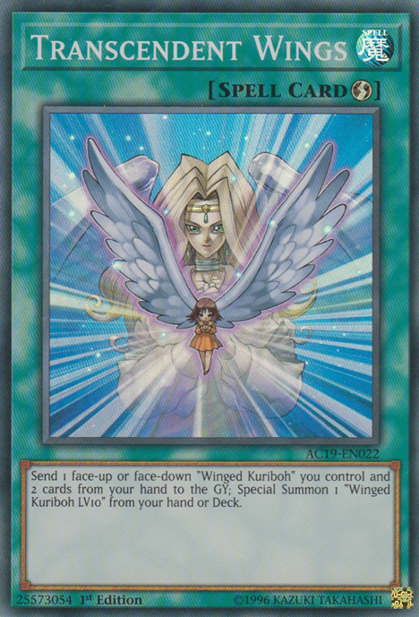 Transcendent Wings [AC19-EN022] Super Rare | Pegasus Games WI