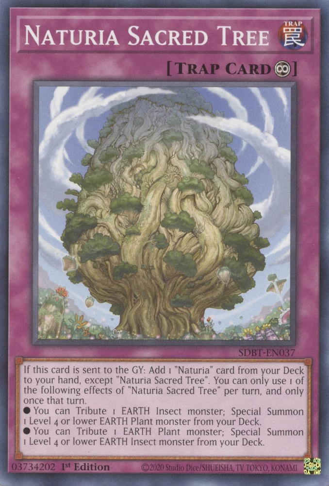 Naturia Sacred Tree [SDBT-EN037] Common | Pegasus Games WI