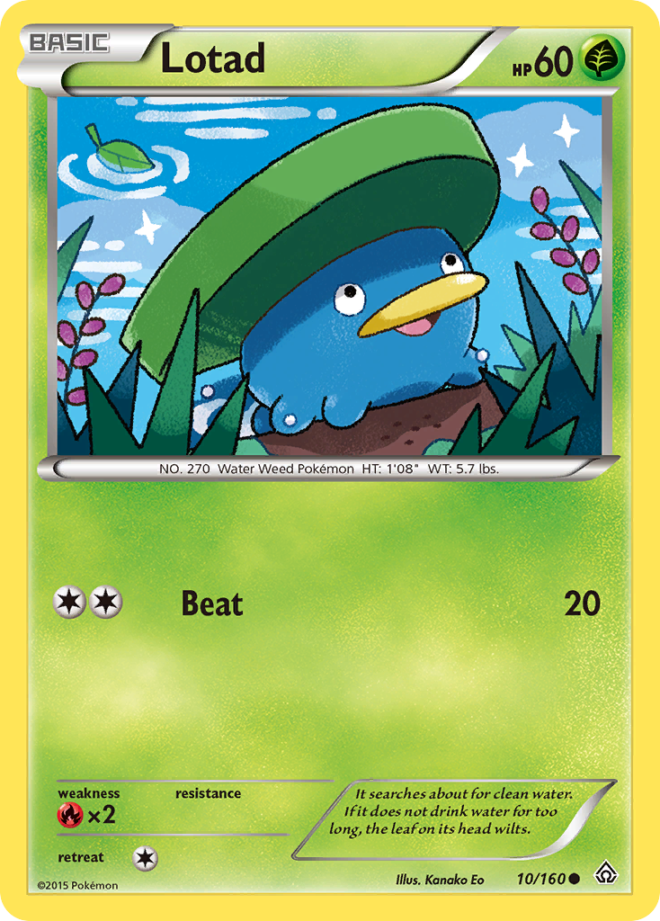 Lotad (10/160) [XY: Primal Clash] | Pegasus Games WI