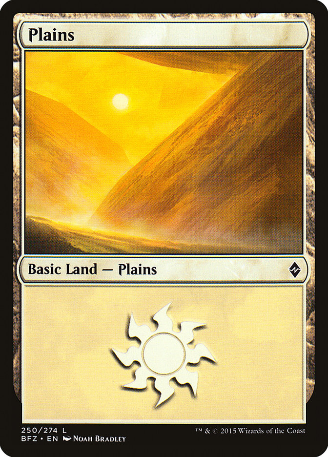 Plains (250) [Battle for Zendikar] | Pegasus Games WI