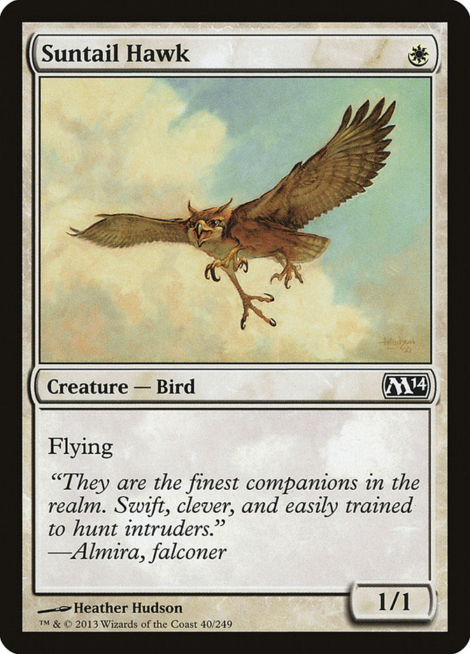 Suntail Hawk [Magic 2014] | Pegasus Games WI