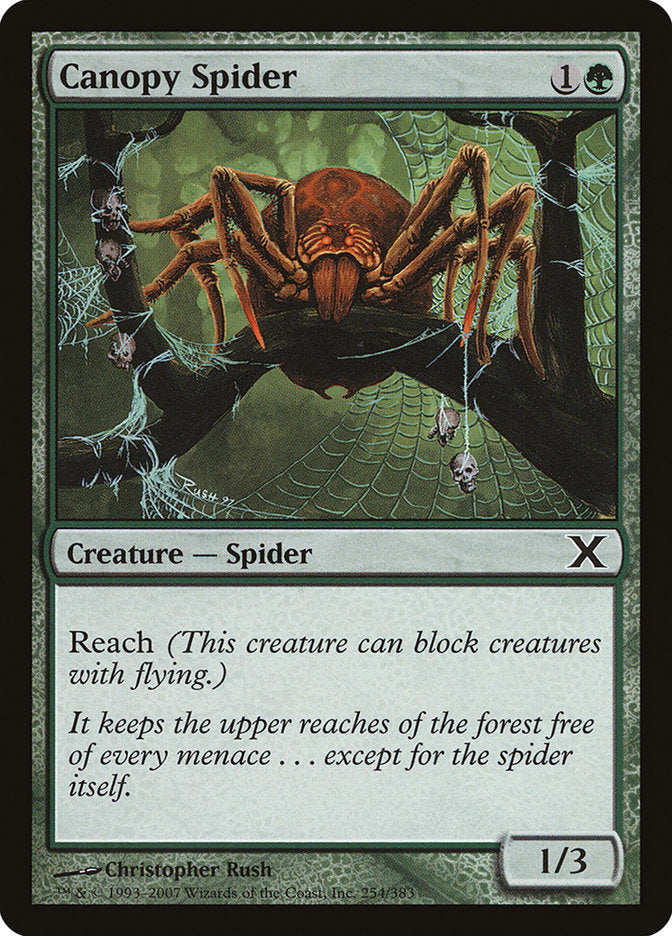 Canopy Spider [Tenth Edition] | Pegasus Games WI