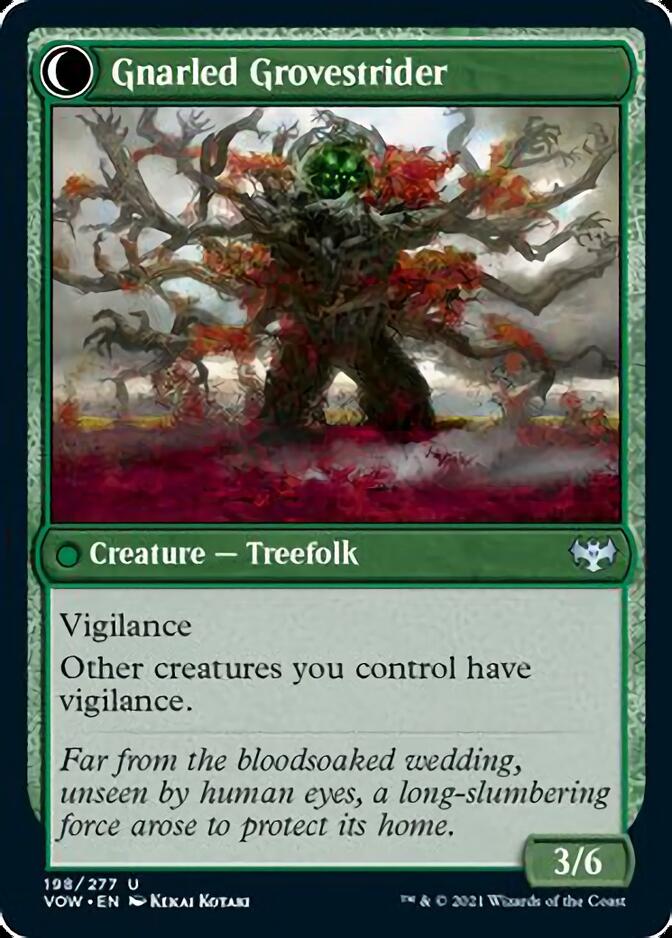 Dormant Grove // Gnarled Grovestrider [Innistrad: Crimson Vow] | Pegasus Games WI