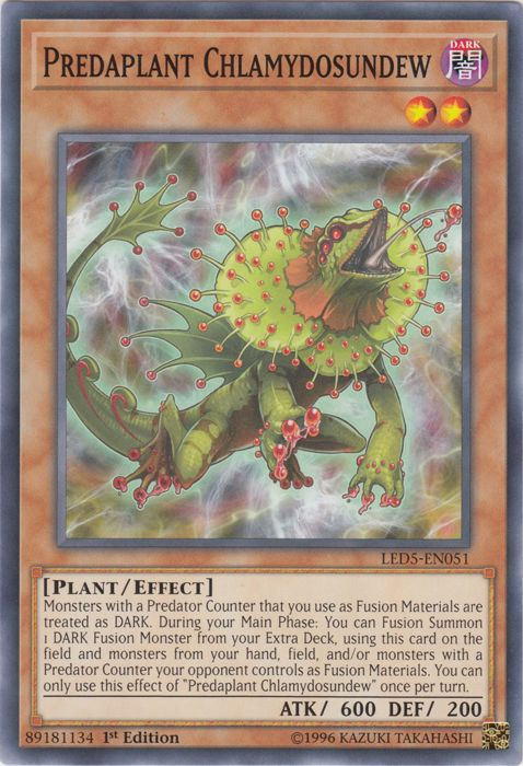 Predaplant Chlamydosundew [LED5-EN051] Common | Pegasus Games WI