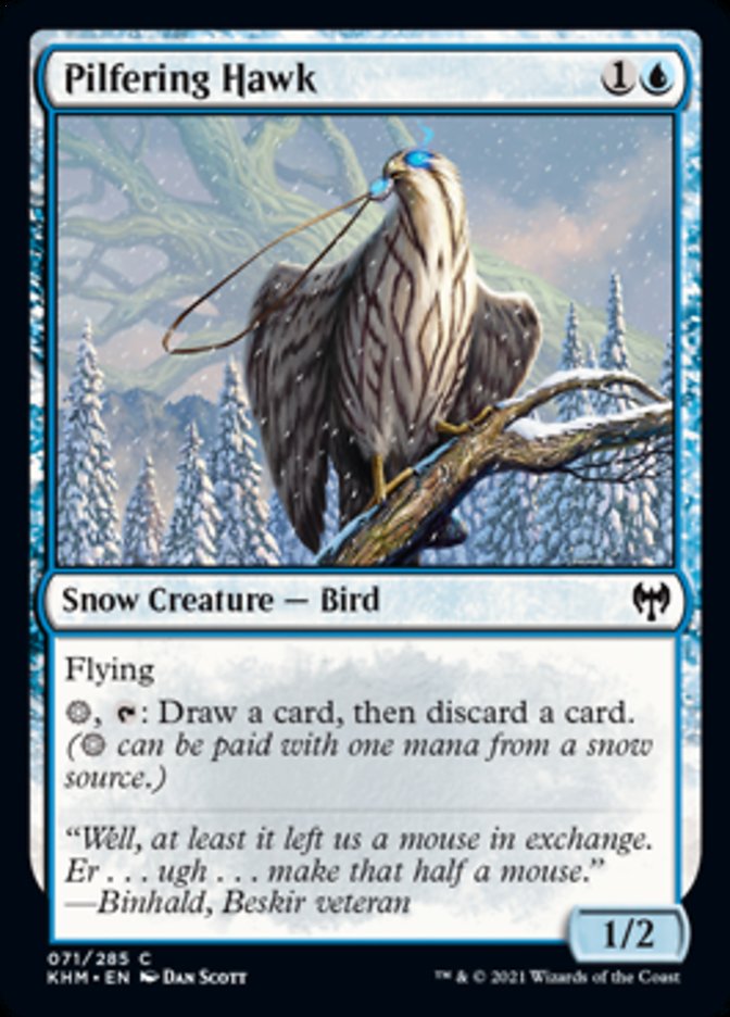 Pilfering Hawk [Kaldheim] | Pegasus Games WI