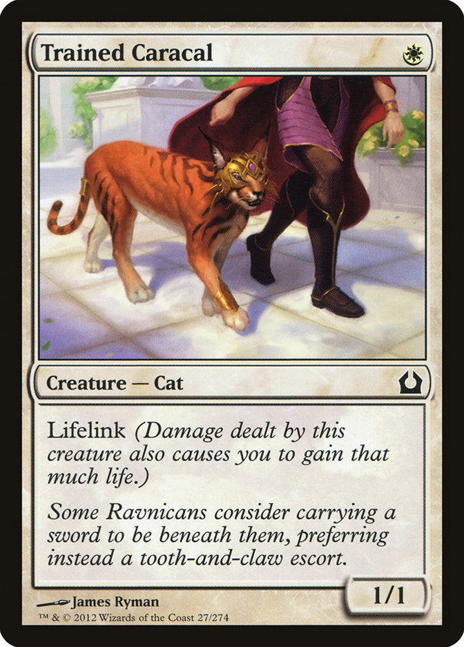 Trained Caracal [Return to Ravnica] | Pegasus Games WI