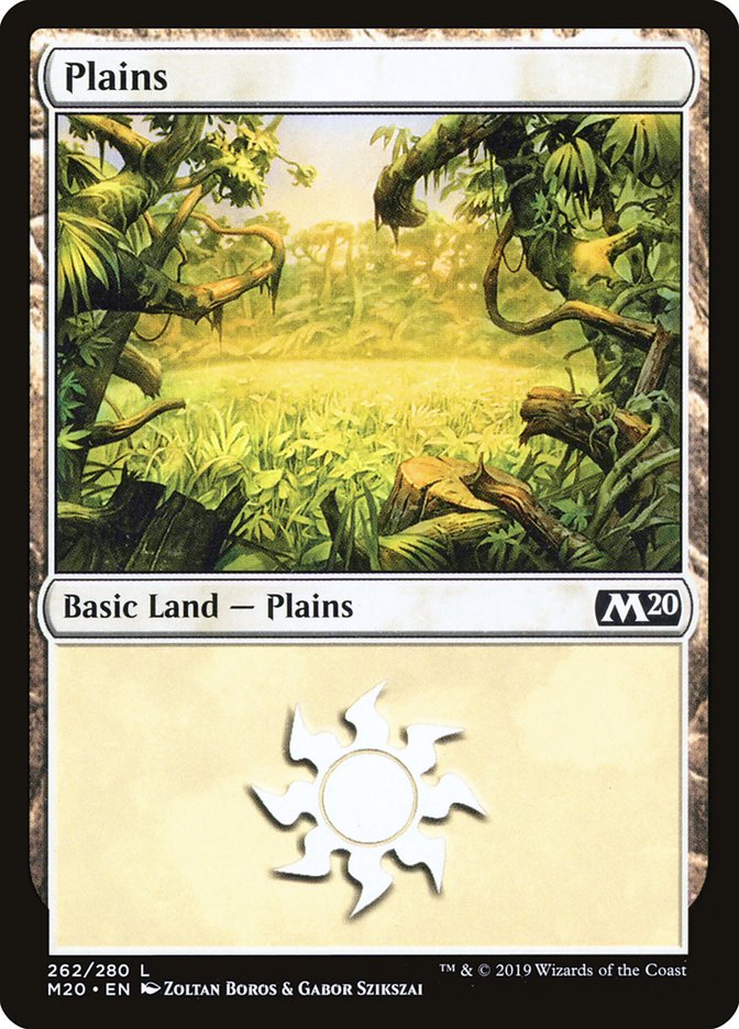 Plains (262) [Core Set 2020] | Pegasus Games WI