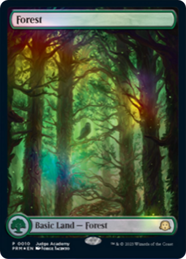 Forest [Judge Gift Cards 2023] | Pegasus Games WI