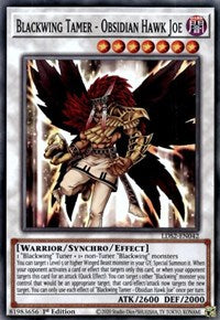 Blackwing Tamer - Obsidian Hawk Joe [LDS2-EN042] Common | Pegasus Games WI