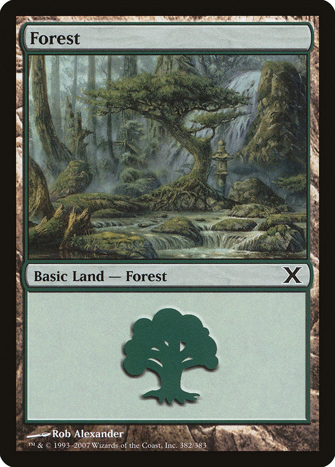 Forest (382) [Tenth Edition] | Pegasus Games WI