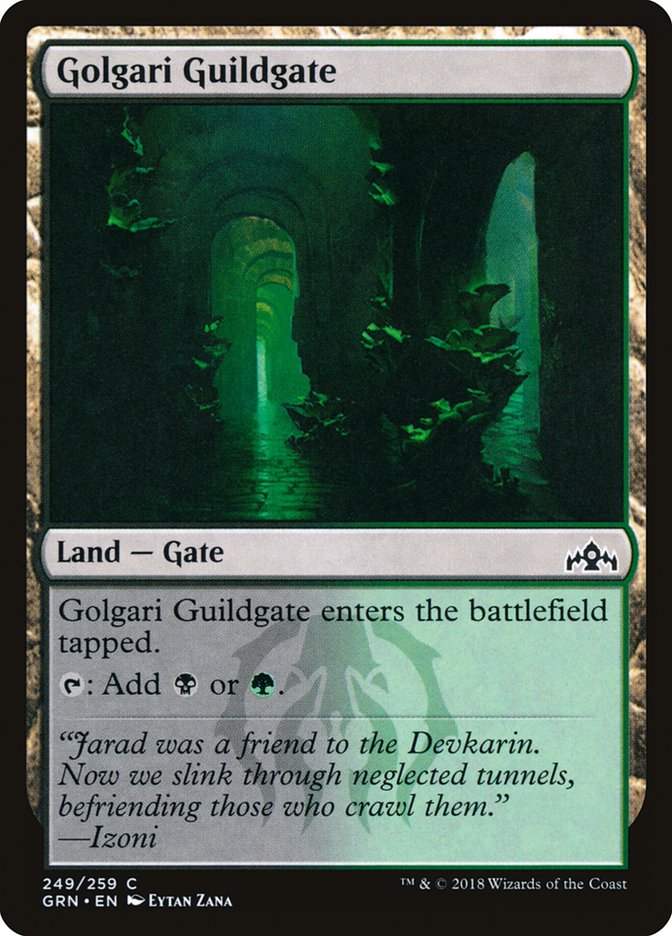 Golgari Guildgate (249/259) [Guilds of Ravnica] | Pegasus Games WI