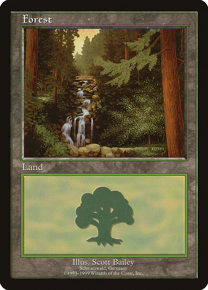 Forest (1) [European Land Program] | Pegasus Games WI