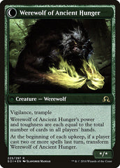 Sage of Ancient Lore // Werewolf of Ancient Hunger [Shadows over Innistrad Prerelease Promos] | Pegasus Games WI