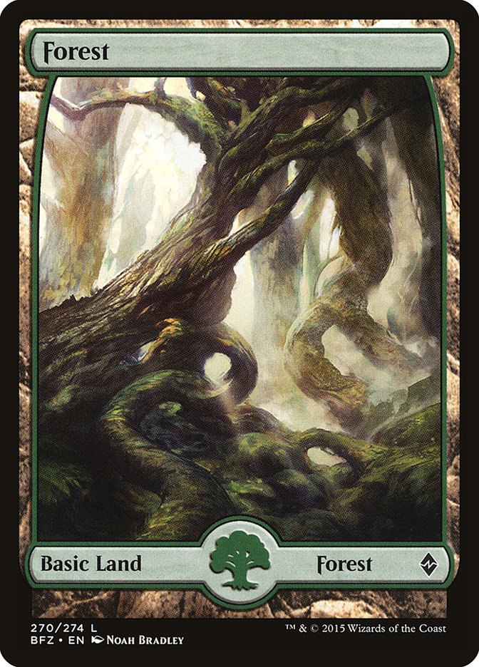 Forest (270) (Full Art) [Battle for Zendikar] | Pegasus Games WI