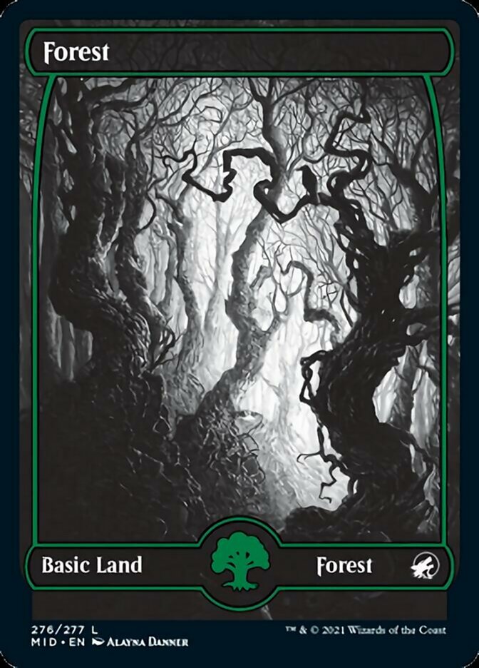 Forest (276) [Innistrad: Midnight Hunt] | Pegasus Games WI