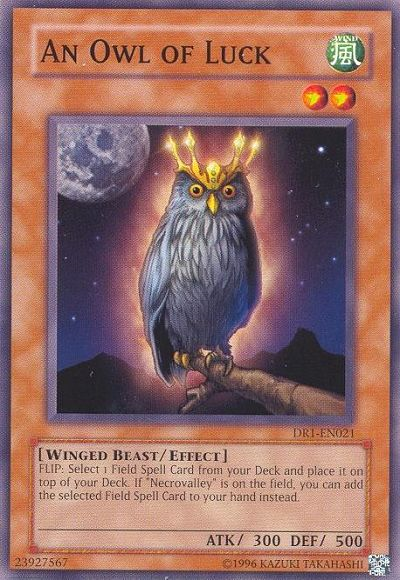 An Owl of Luck [DR1-EN021] Common | Pegasus Games WI