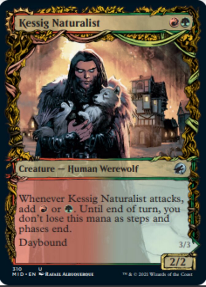 Kessig Naturalist // Lord of the Ulvenwald (Showcase Equinox) [Innistrad: Midnight Hunt] | Pegasus Games WI