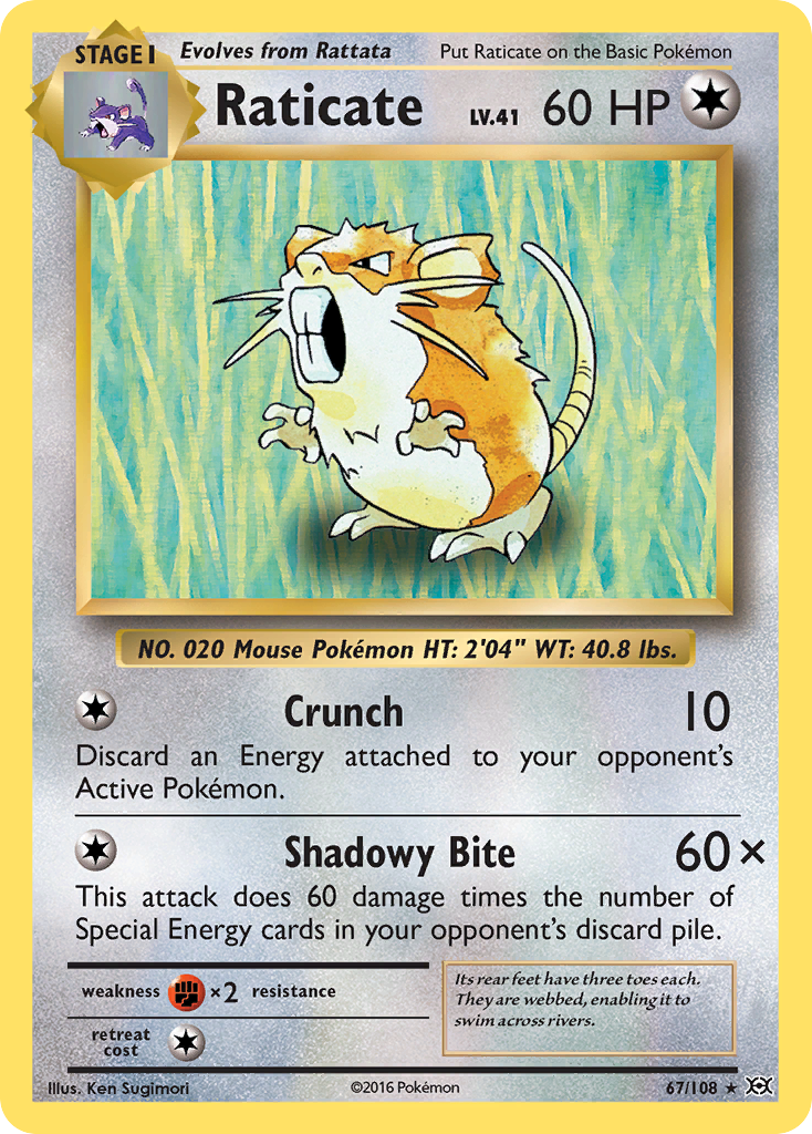 Raticate (67/108) [XY: Evolutions] | Pegasus Games WI