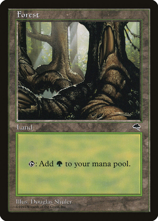 Forest (Large Roots) [Tempest] | Pegasus Games WI