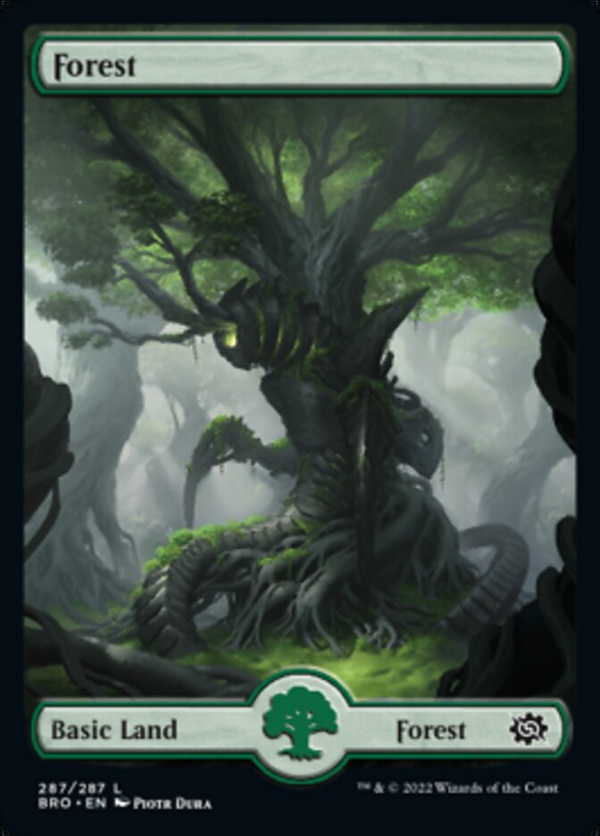 Forest (287) [The Brothers' War] | Pegasus Games WI