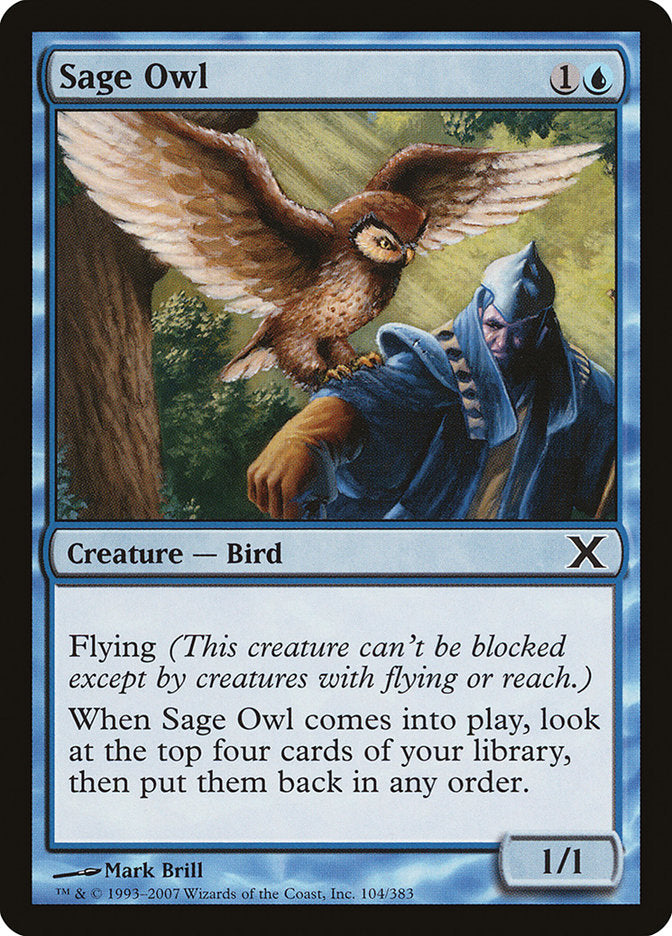 Sage Owl [Tenth Edition] | Pegasus Games WI
