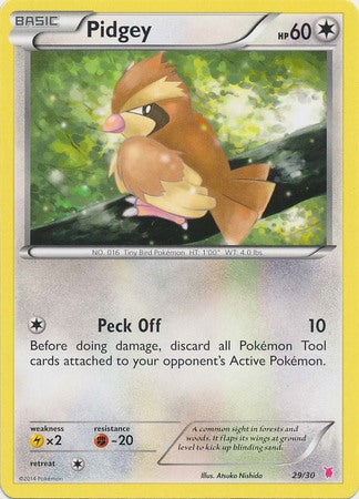 Pidgey (29/30) [XY: Trainer Kit 1 - Wigglytuff] | Pegasus Games WI
