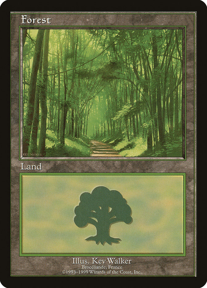 Forest (6) [European Land Program] | Pegasus Games WI