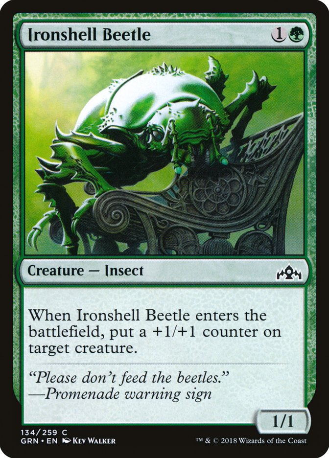 Ironshell Beetle [Guilds of Ravnica] | Pegasus Games WI